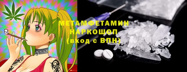 прущие грибы Абдулино