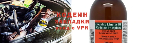 ECSTASY Алзамай
