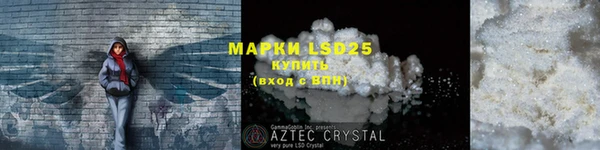 ECSTASY Алзамай