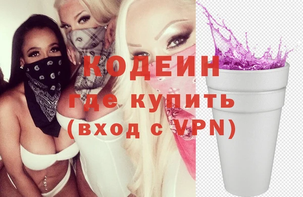ECSTASY Алзамай